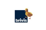 Brivis